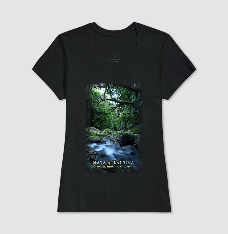 Mata Atlântica - Imagem 3