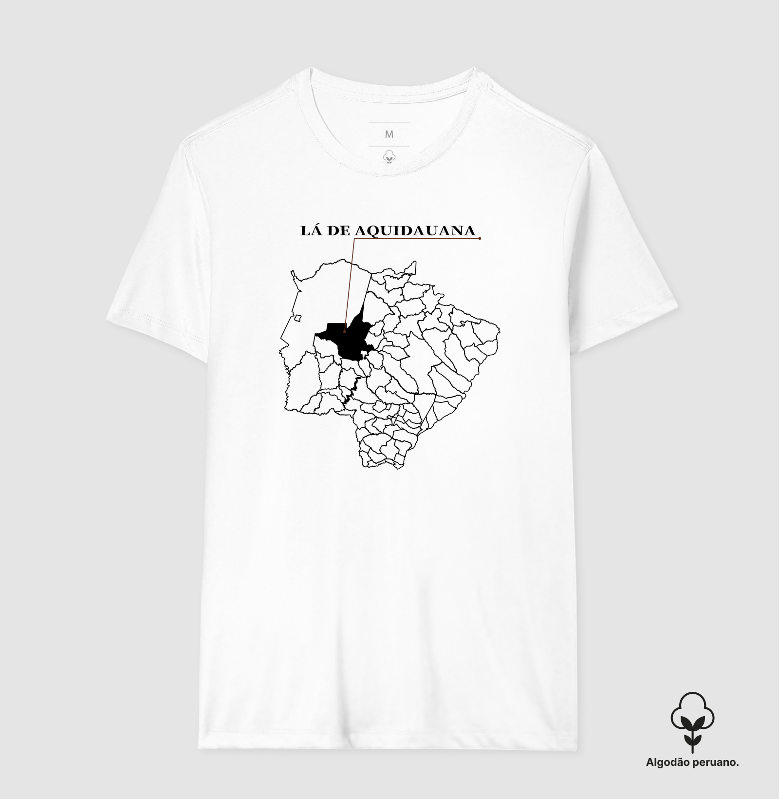 Aquidauana | Origem MS - Imagem 7