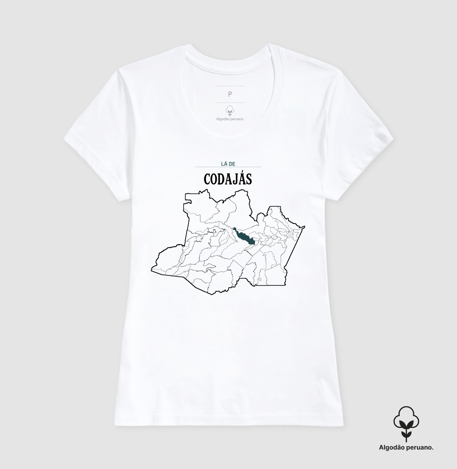 Codajás | Território AM - Imagem 8