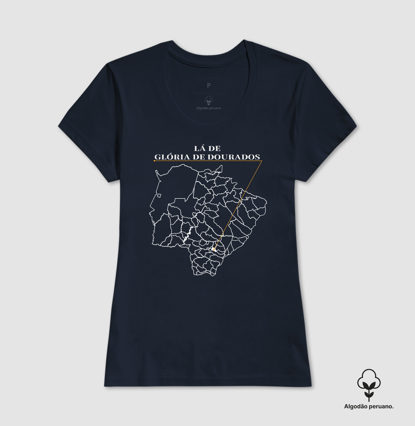 Glória de Dourados | Origem MS - Imagem 5