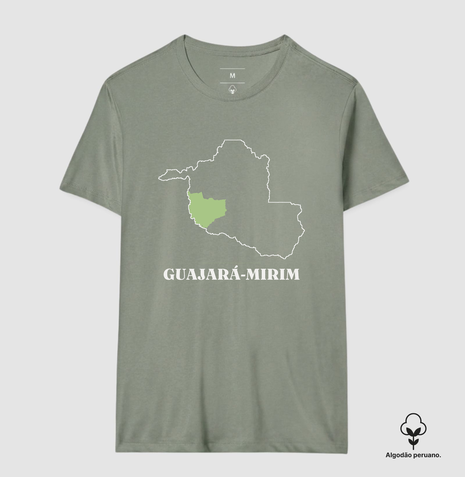 Guajará-Mirim | Traço RO - Imagem 9