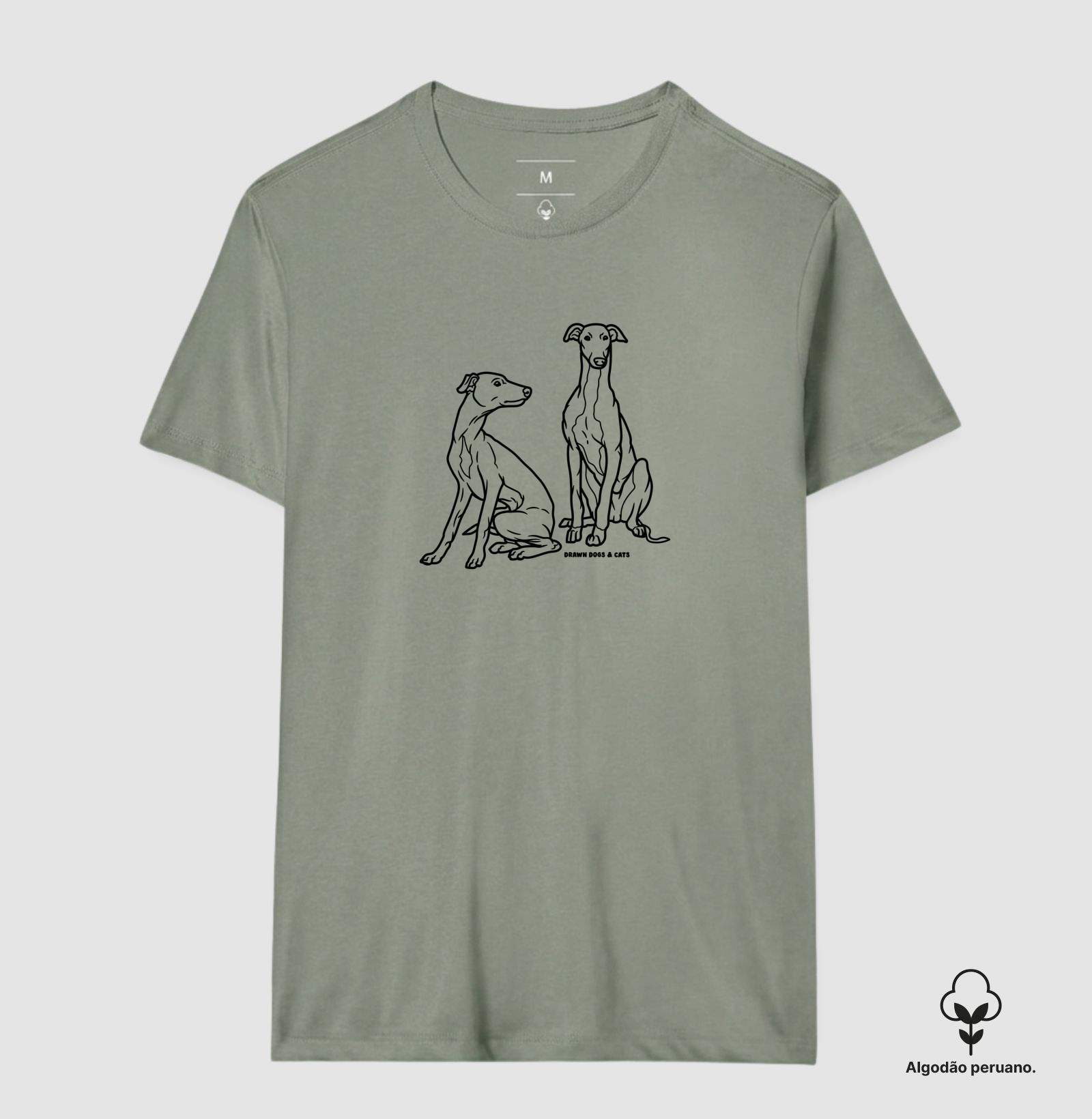 Galgo italiano - Imagem 4