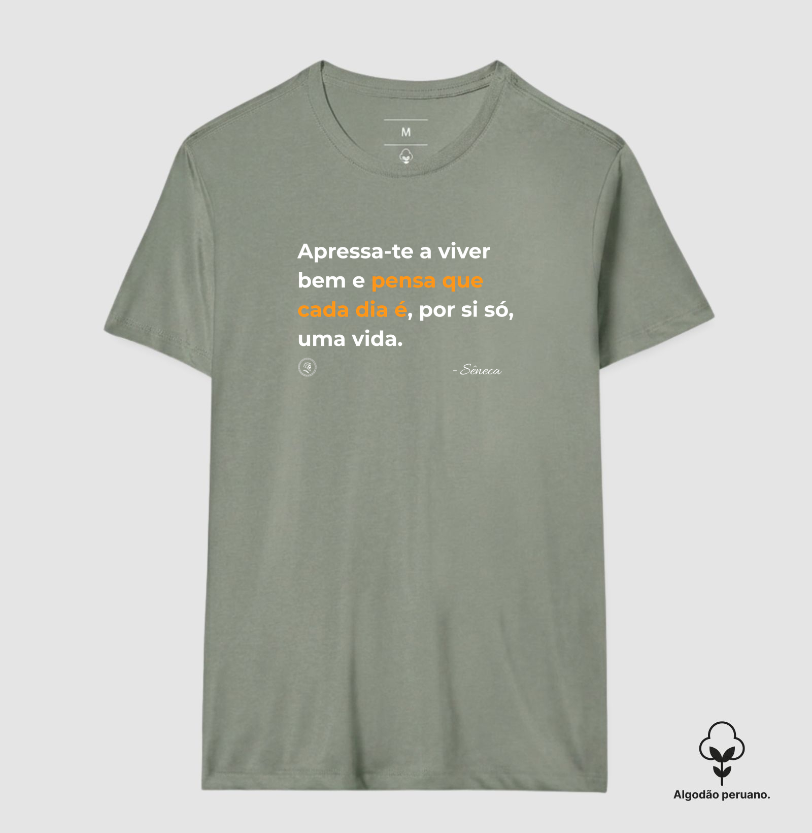 Estocisimo de Sêneca "Apressa-te a viver bem" - Imagem 2