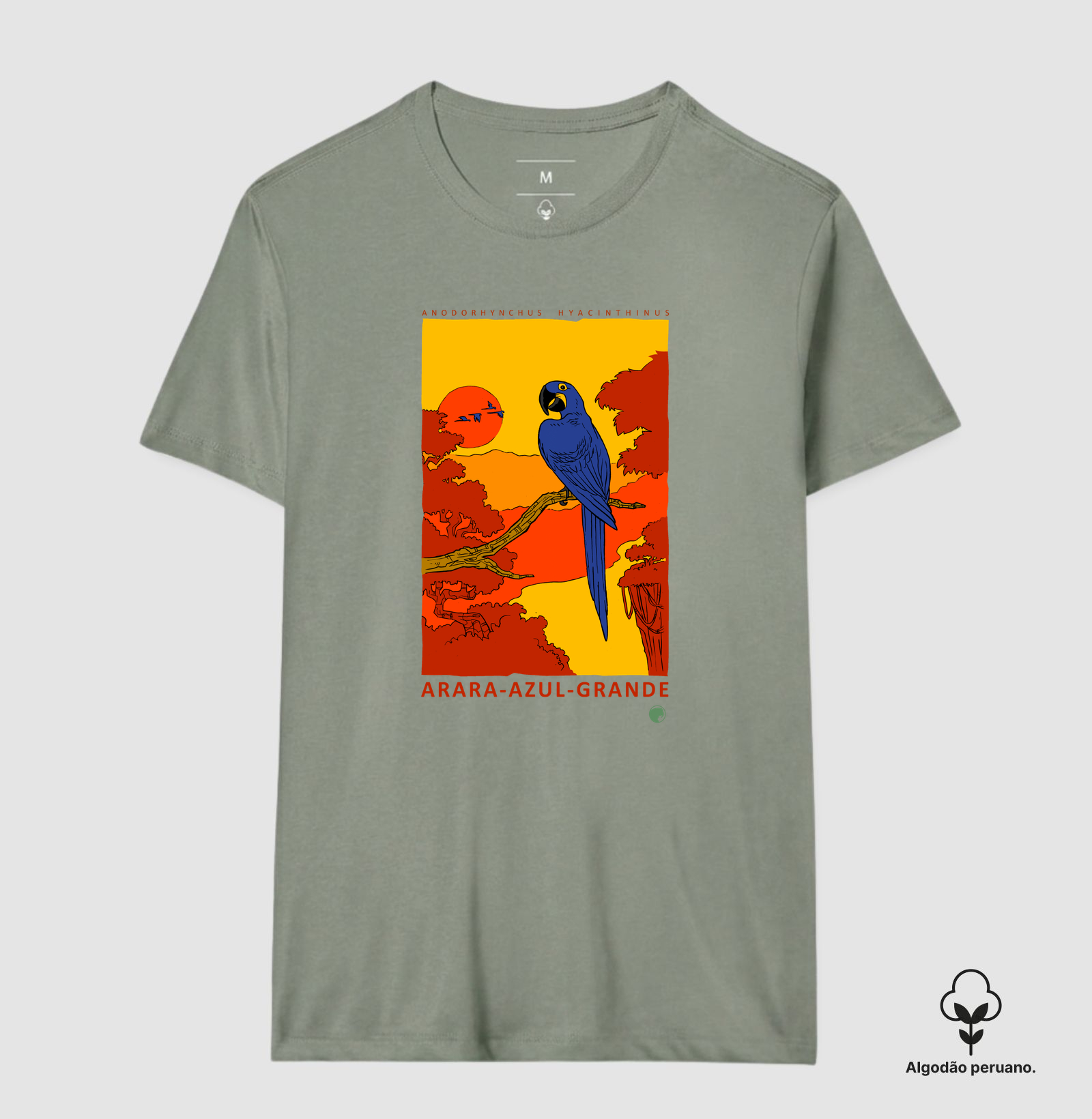 Arara-azul - Imagem 5
