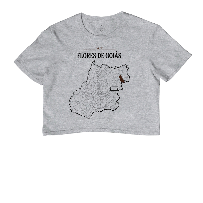 Flores de Goiás | Território GO - Imagem 6
