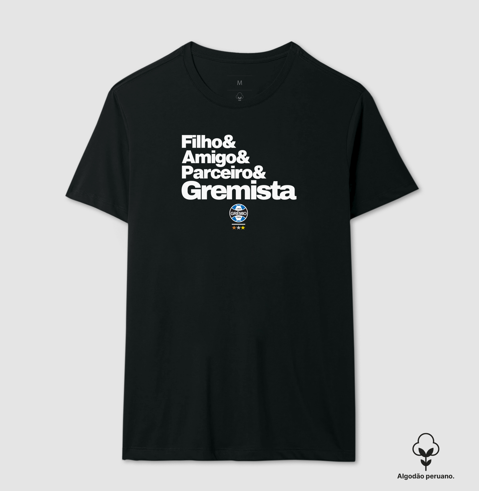 Filho, amigo, parceiro e Gremista - Imagem 3