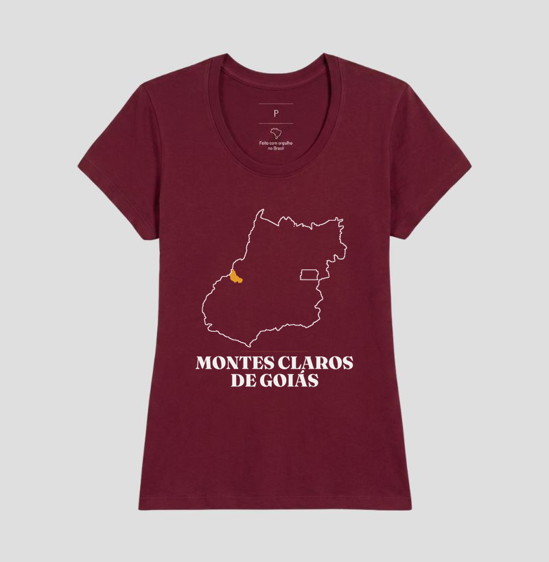 Montes Claros de Goiás | Traço GO - Imagem 19