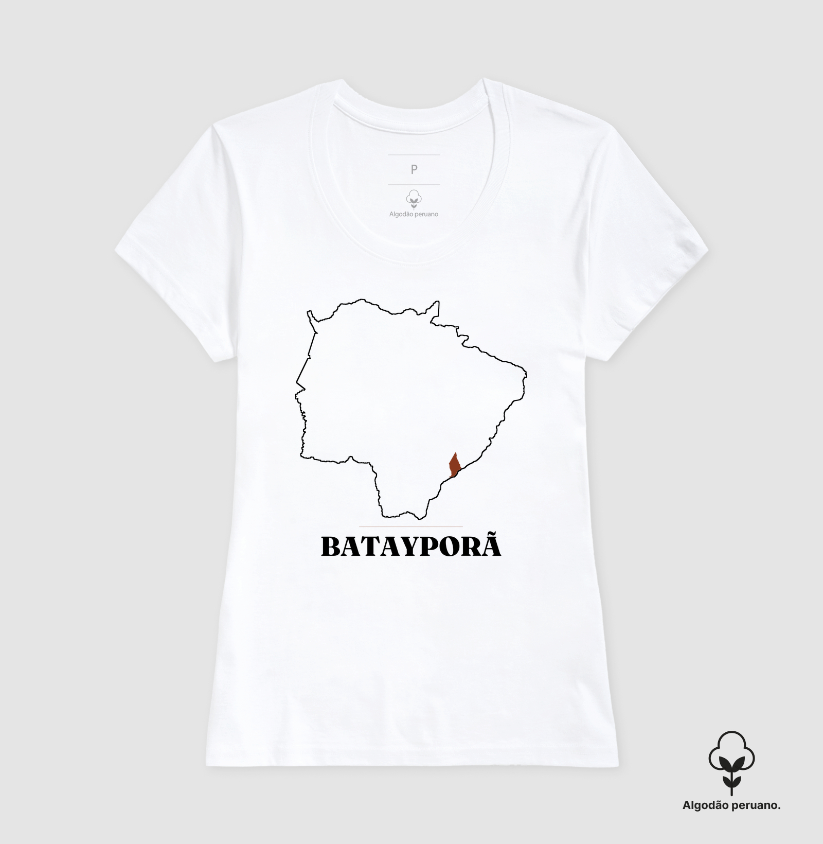 Batayporã | Traço MS - Imagem 6