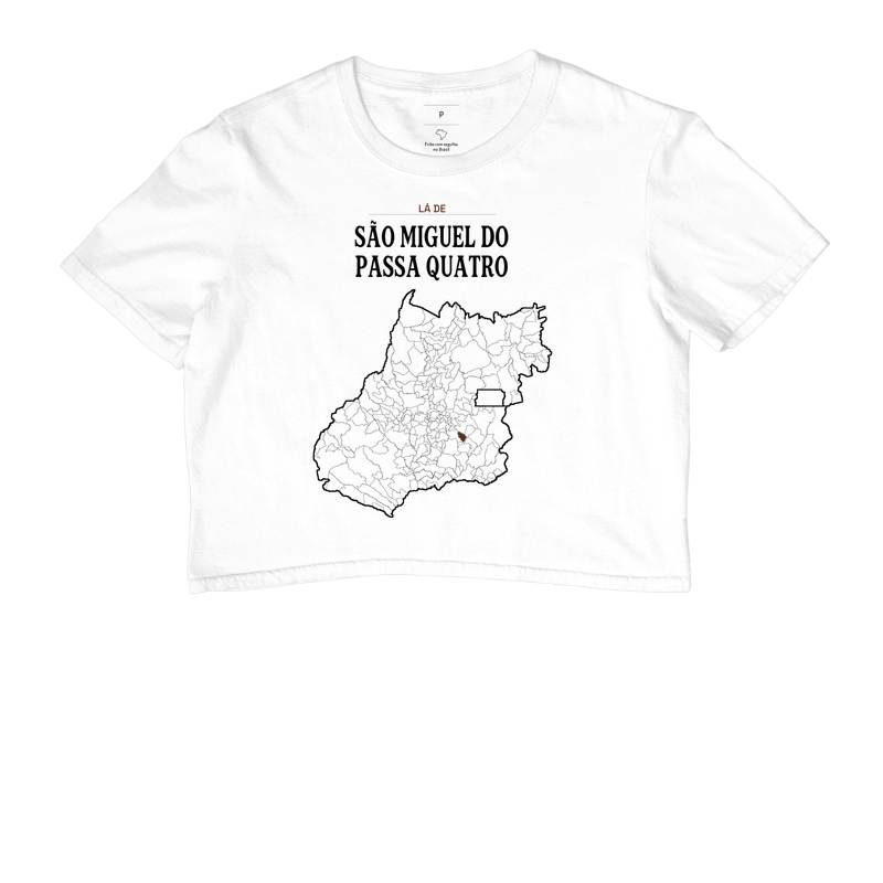 São Miguel do Passa Quatro | Território GO - Imagem 3