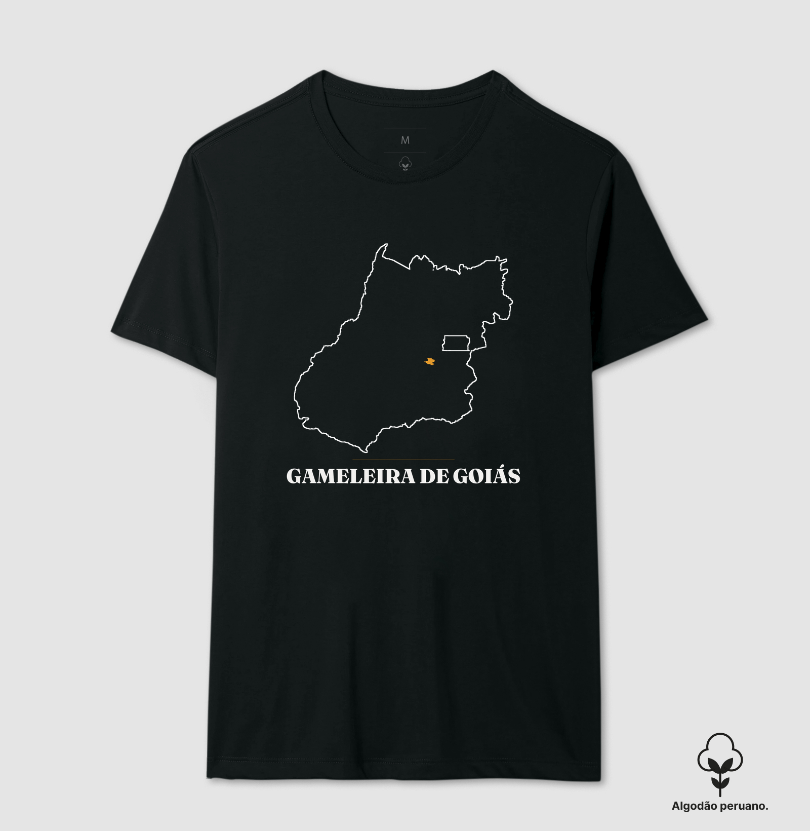 Gameleira de Goiás | Traço GO - Imagem 3