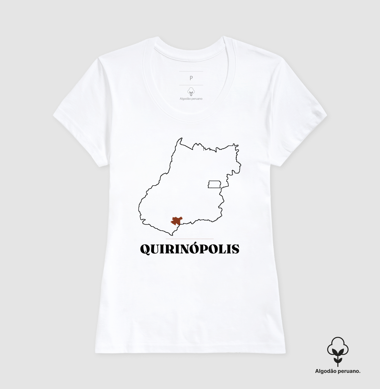 Quirinópolis | Traço GO - Imagem 4