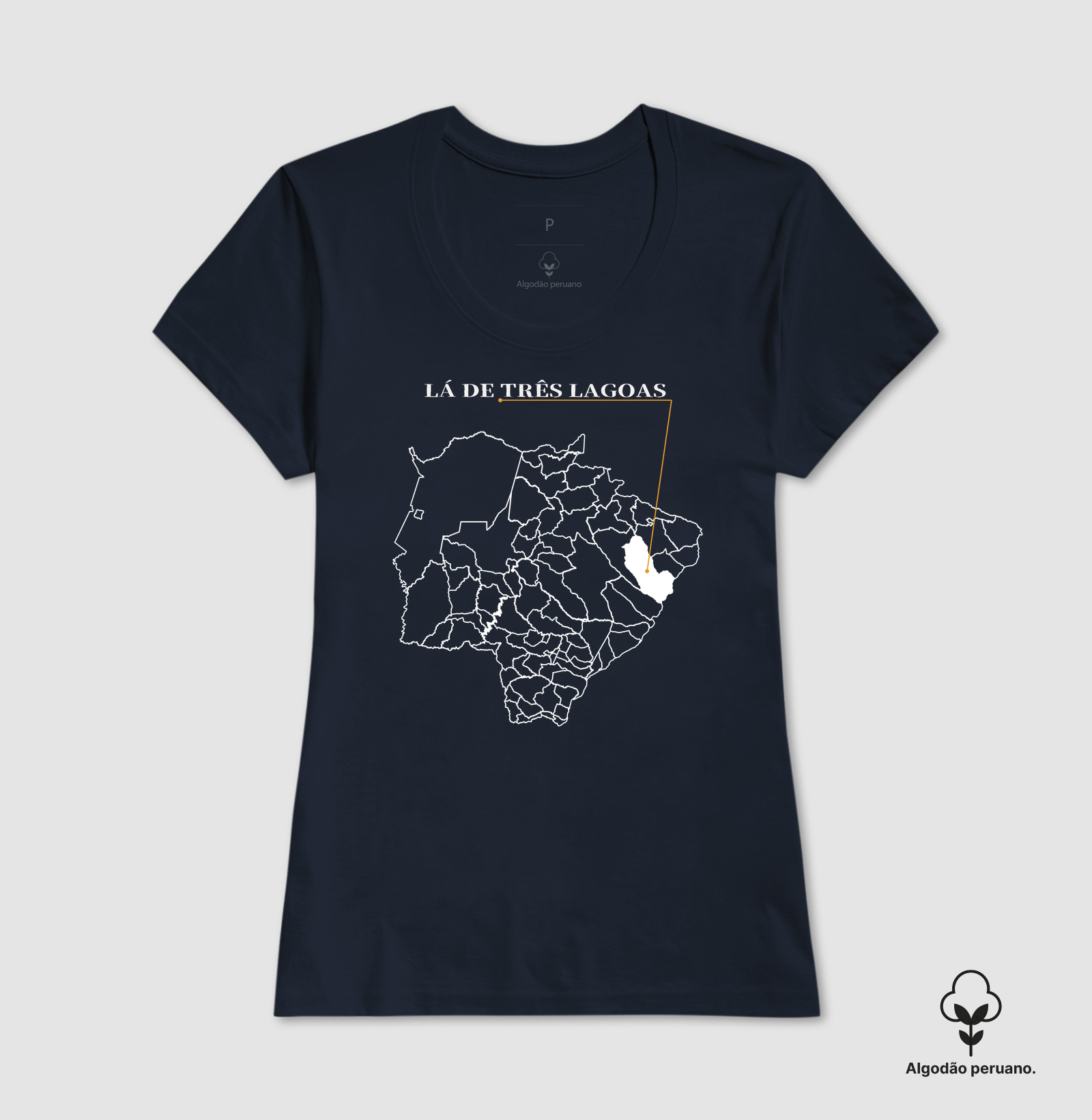 Três Lagoas | Origem MS - Imagem 7