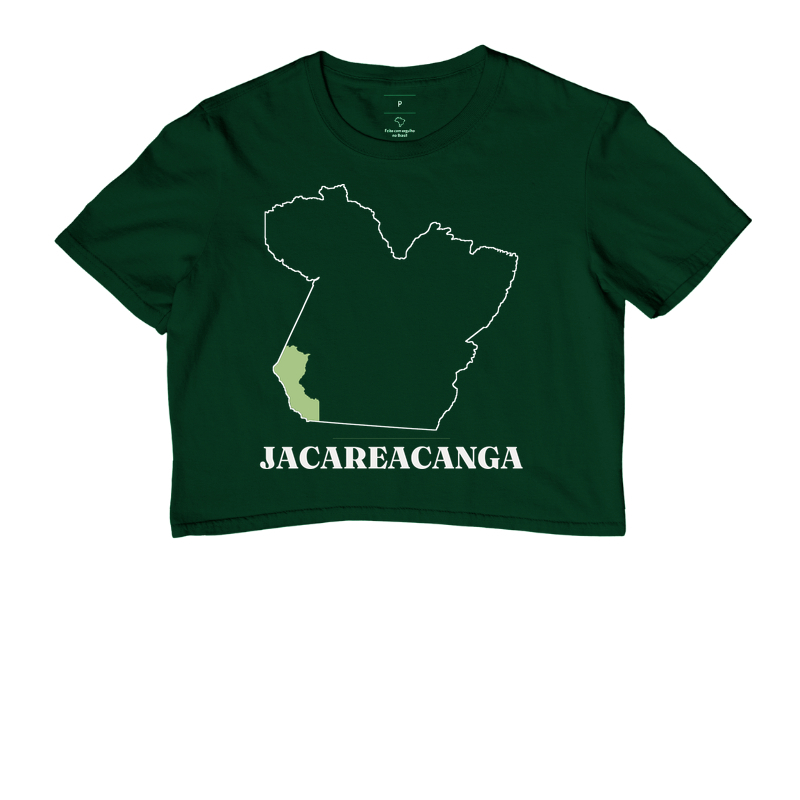 Jacareacanga | Traço PA - Imagem 5