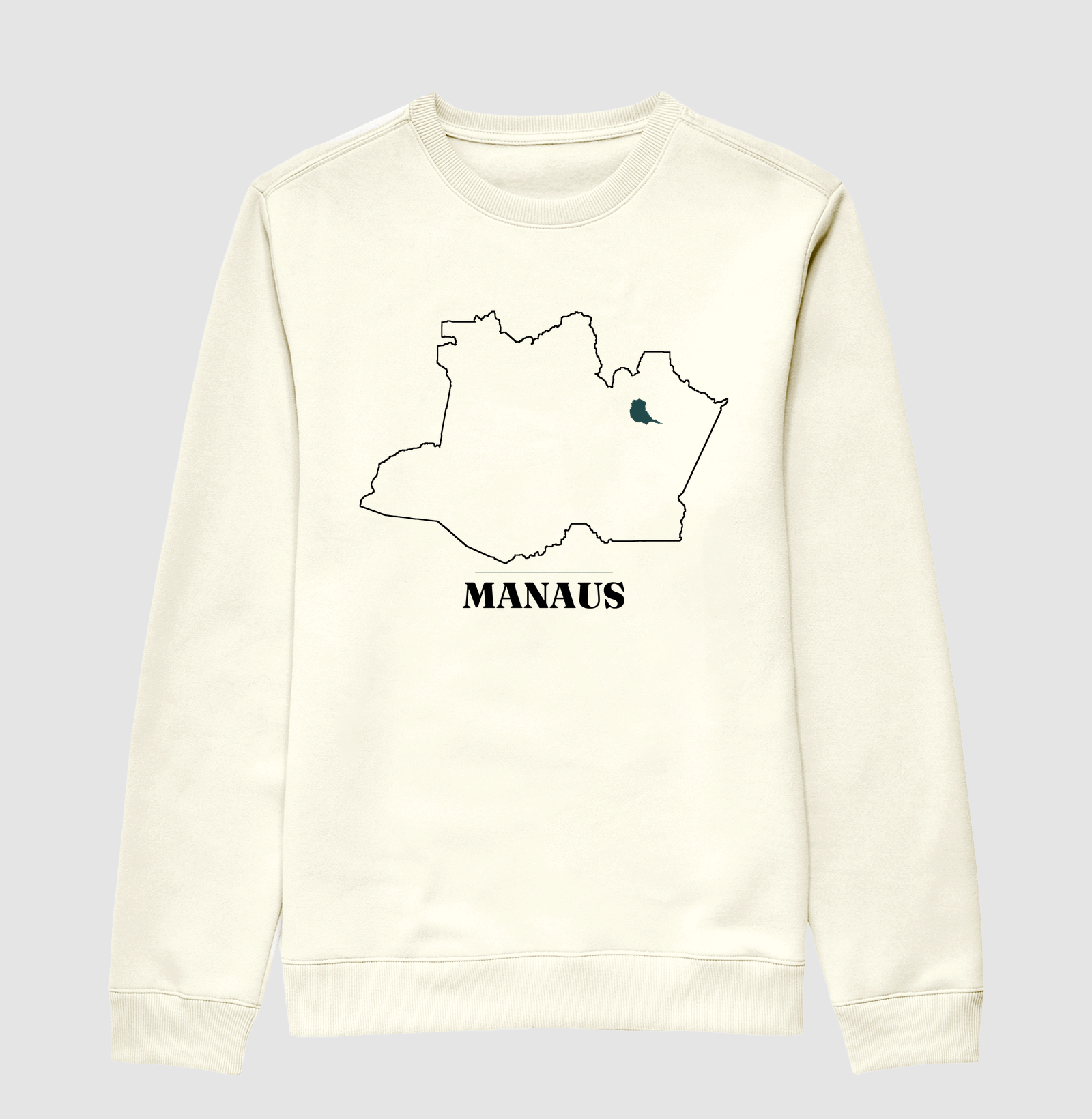 Manaus | Traço AM - Imagem 2
