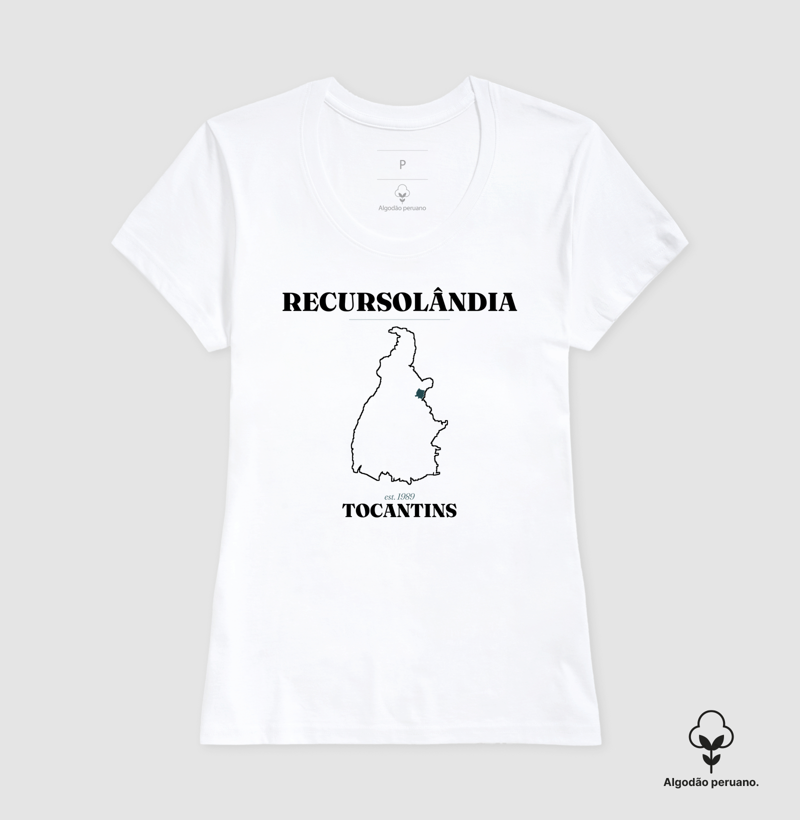 Recursolândia | Legado TO - Imagem 5