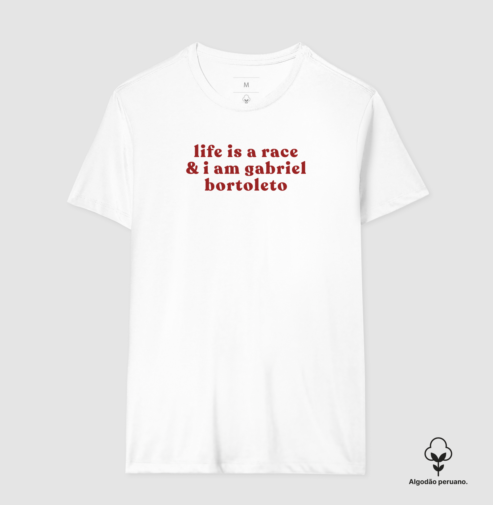 i am gabriel bortoleto - Imagem 6