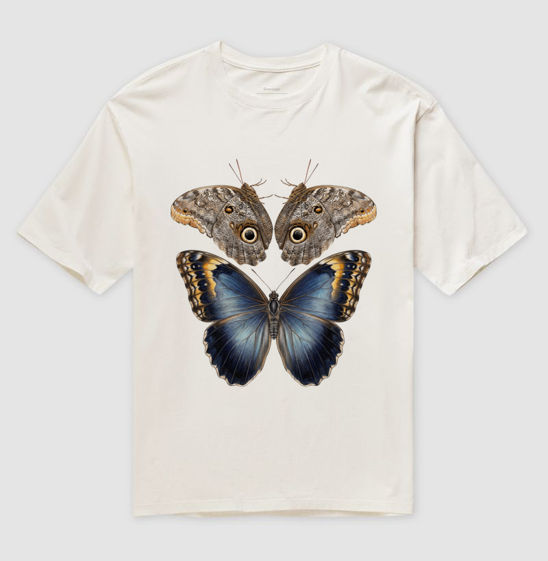 Caligo eurilochus brasiliensis - Imagem 4
