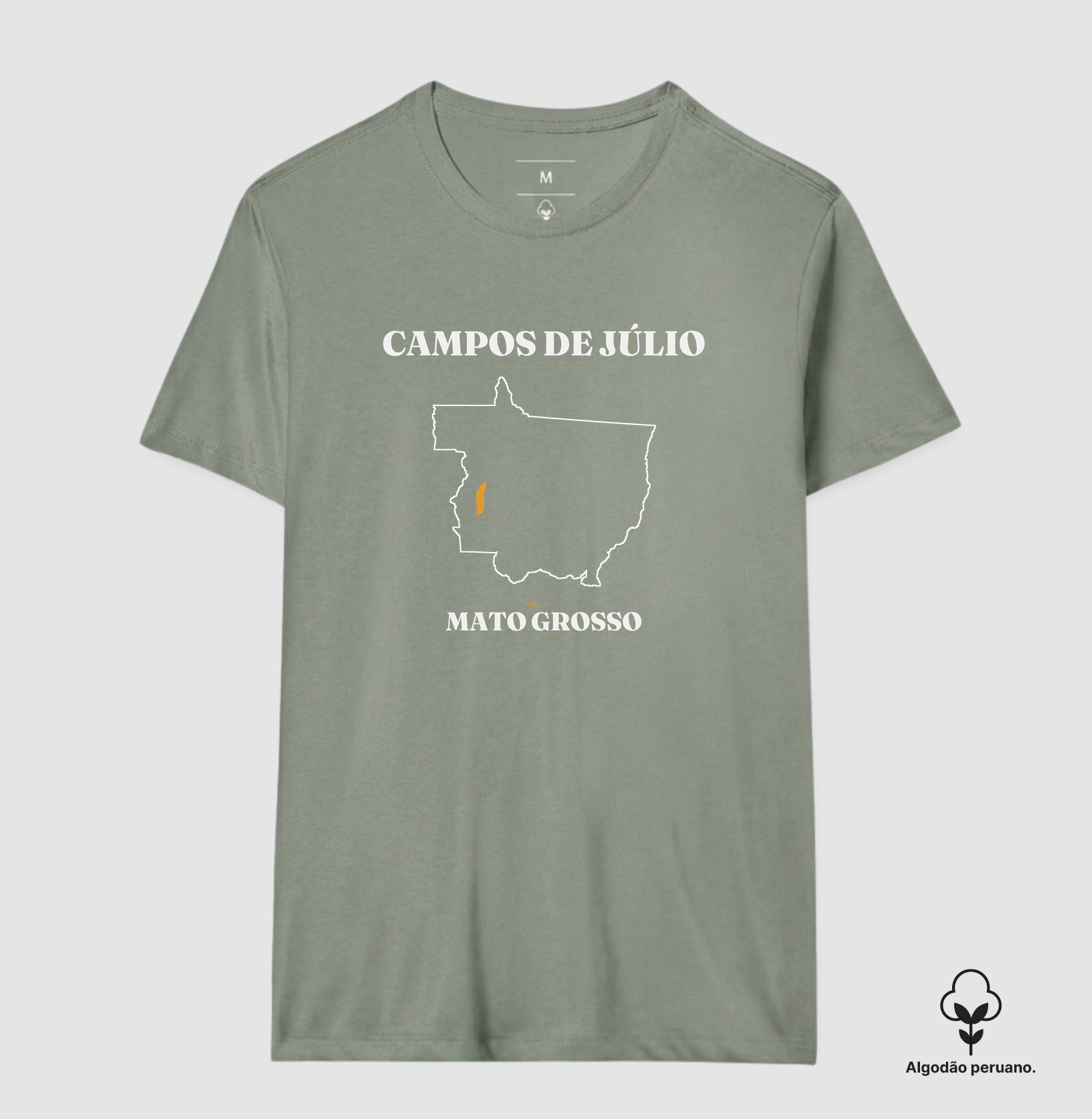 Campos de Júlio | Legado MT - Imagem 7