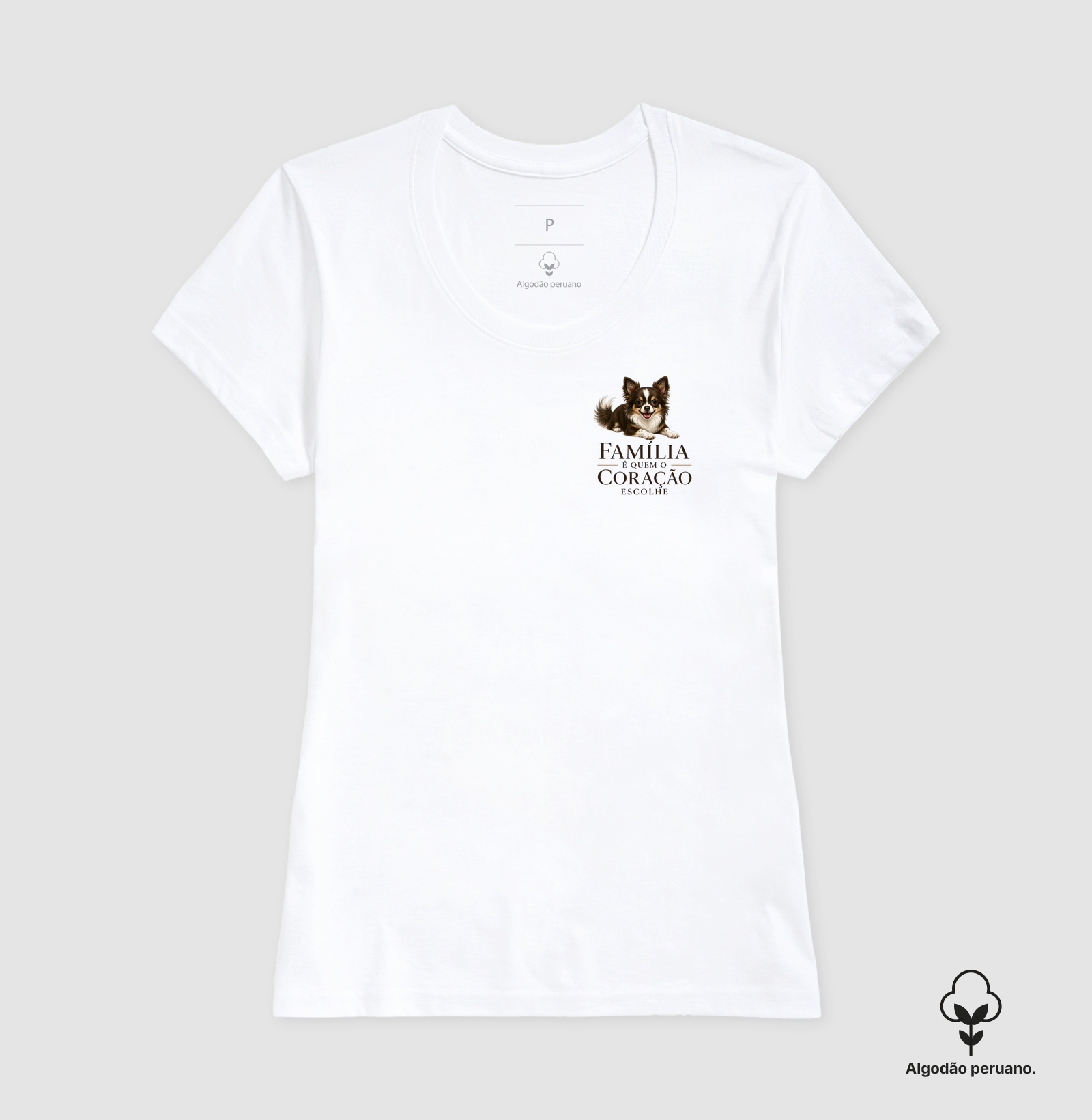 Chihuahua Pelo Longo Marrom e Branco - Família - Imagem 9