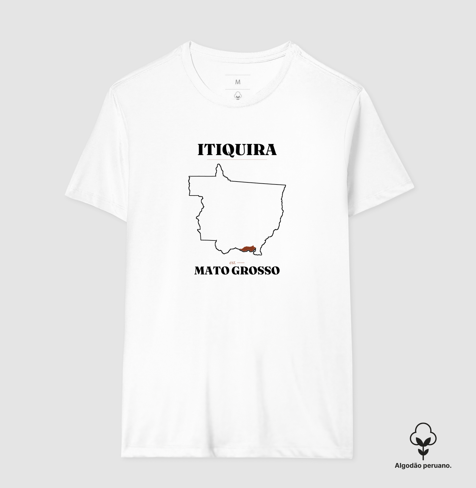 Itiquira | Legado MT - Imagem 6