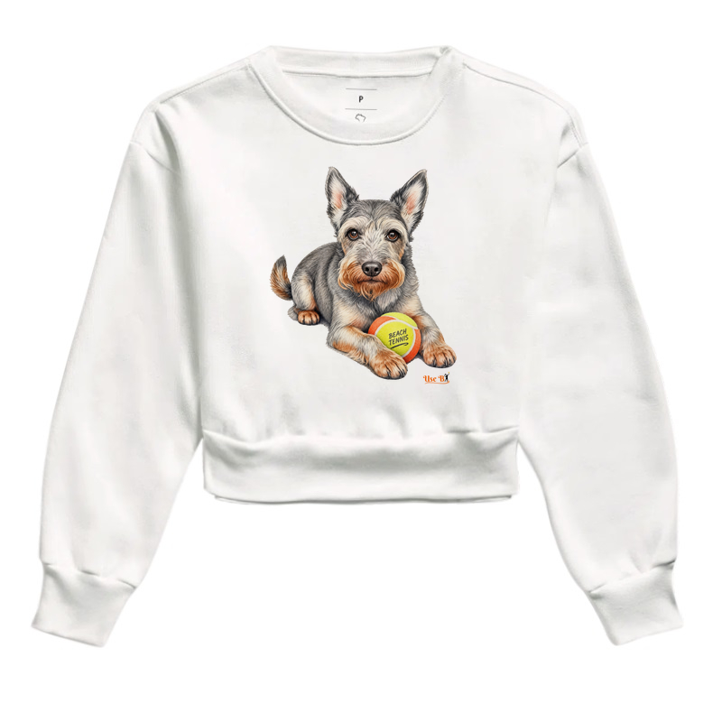 Schnauzer do BT - Imagem 3
