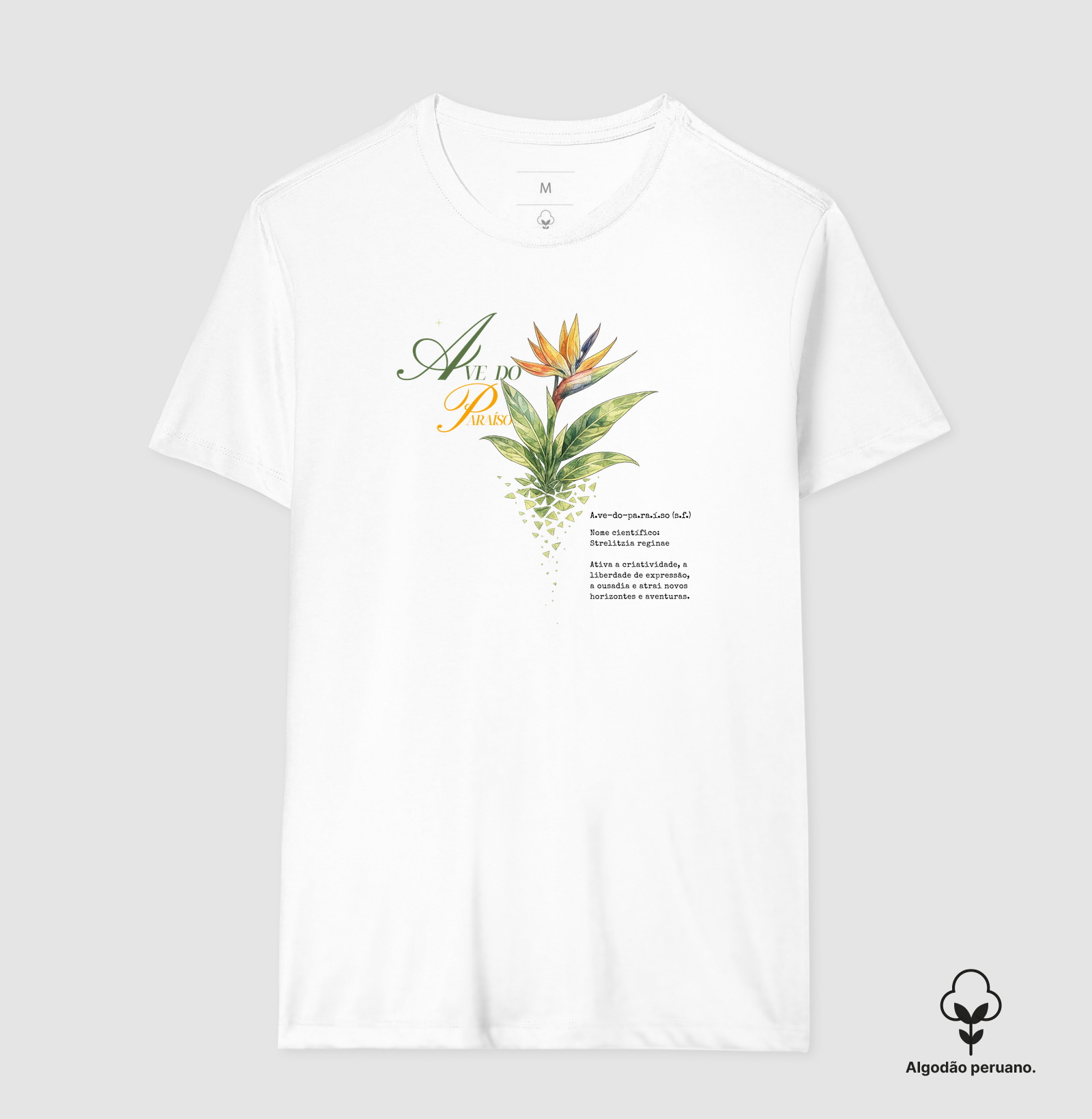 Camisa 8