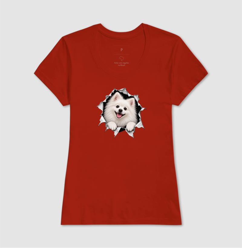 Pomerânia (Spitz Alemão) Saindo da Camisa - Imagem 11