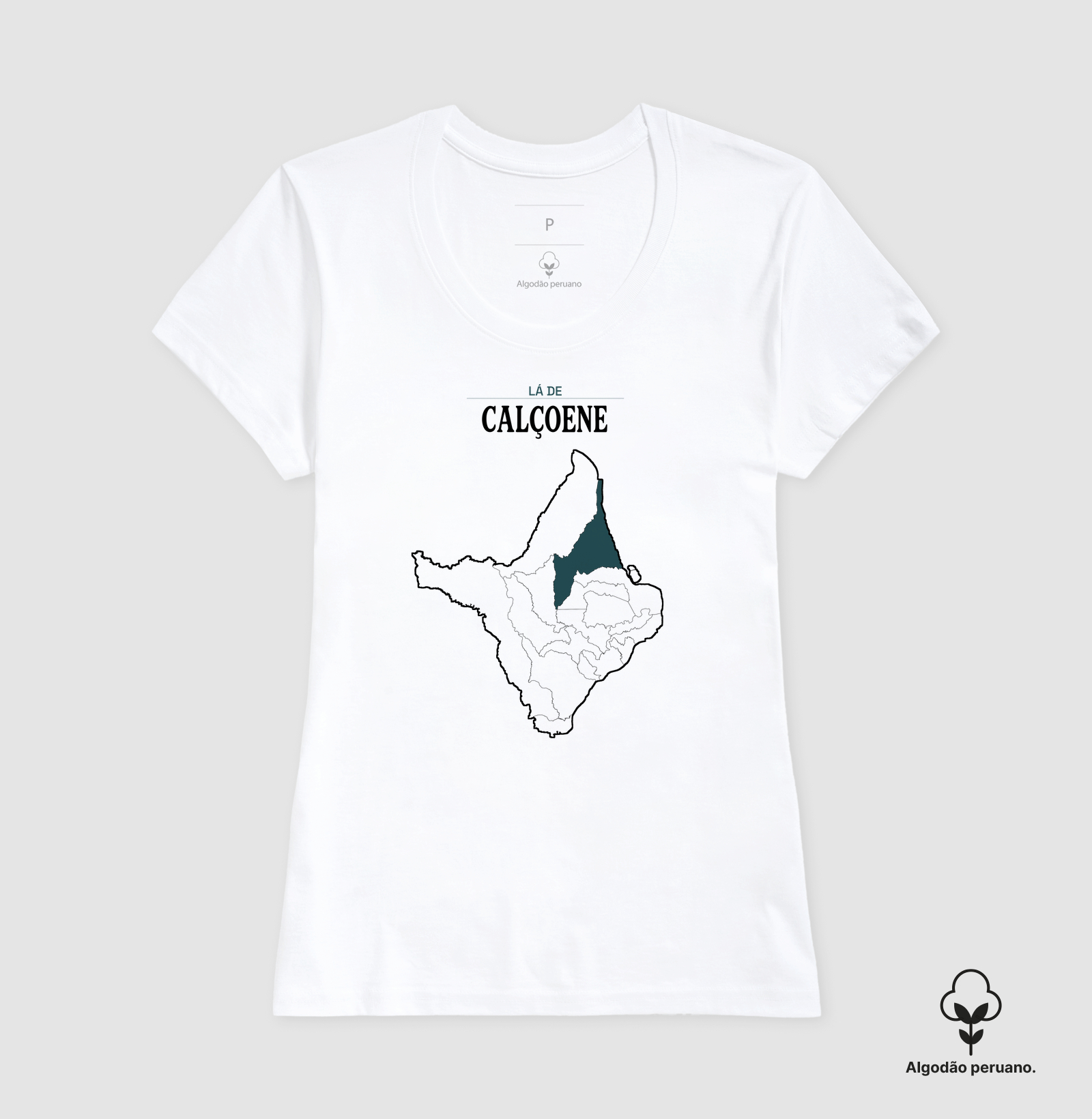 Calçoene | Território AP - Imagem 5