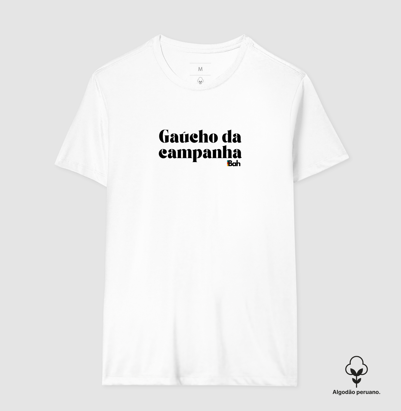 Gaúcho da campanha - Imagem 8