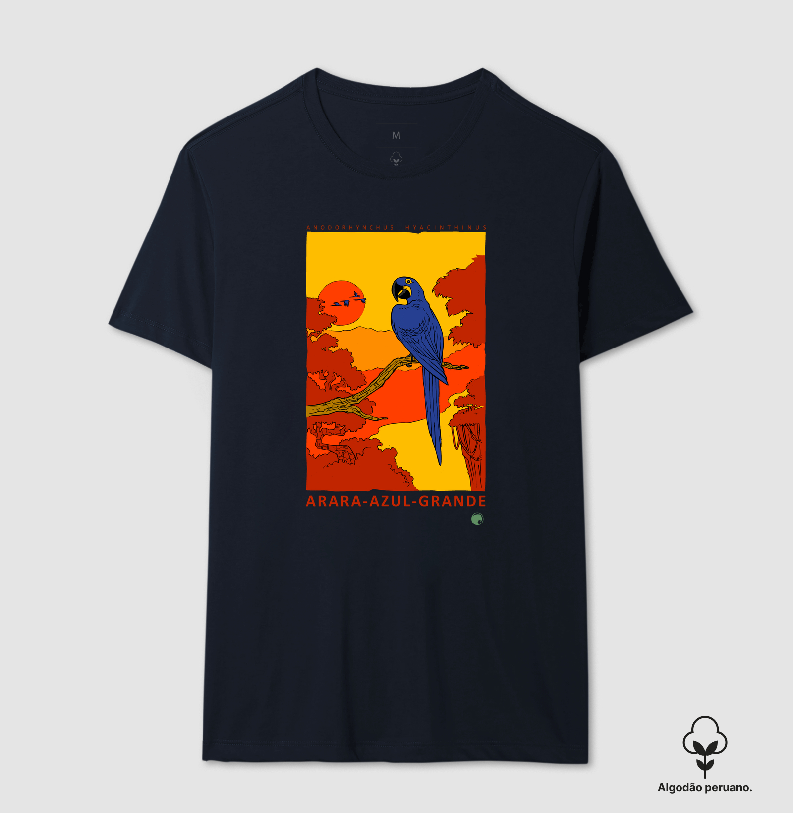 Arara-azul - Imagem 9