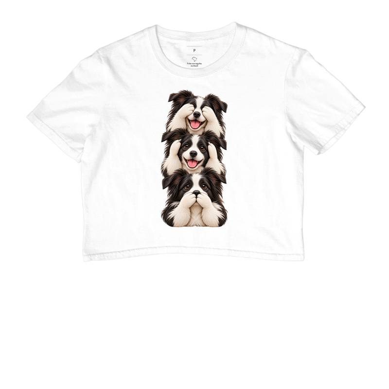 Ver, ouvir e falar Border Collie - Imagem 3