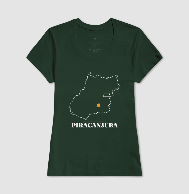 Piracanjuba | Traço GO - Imagem 13