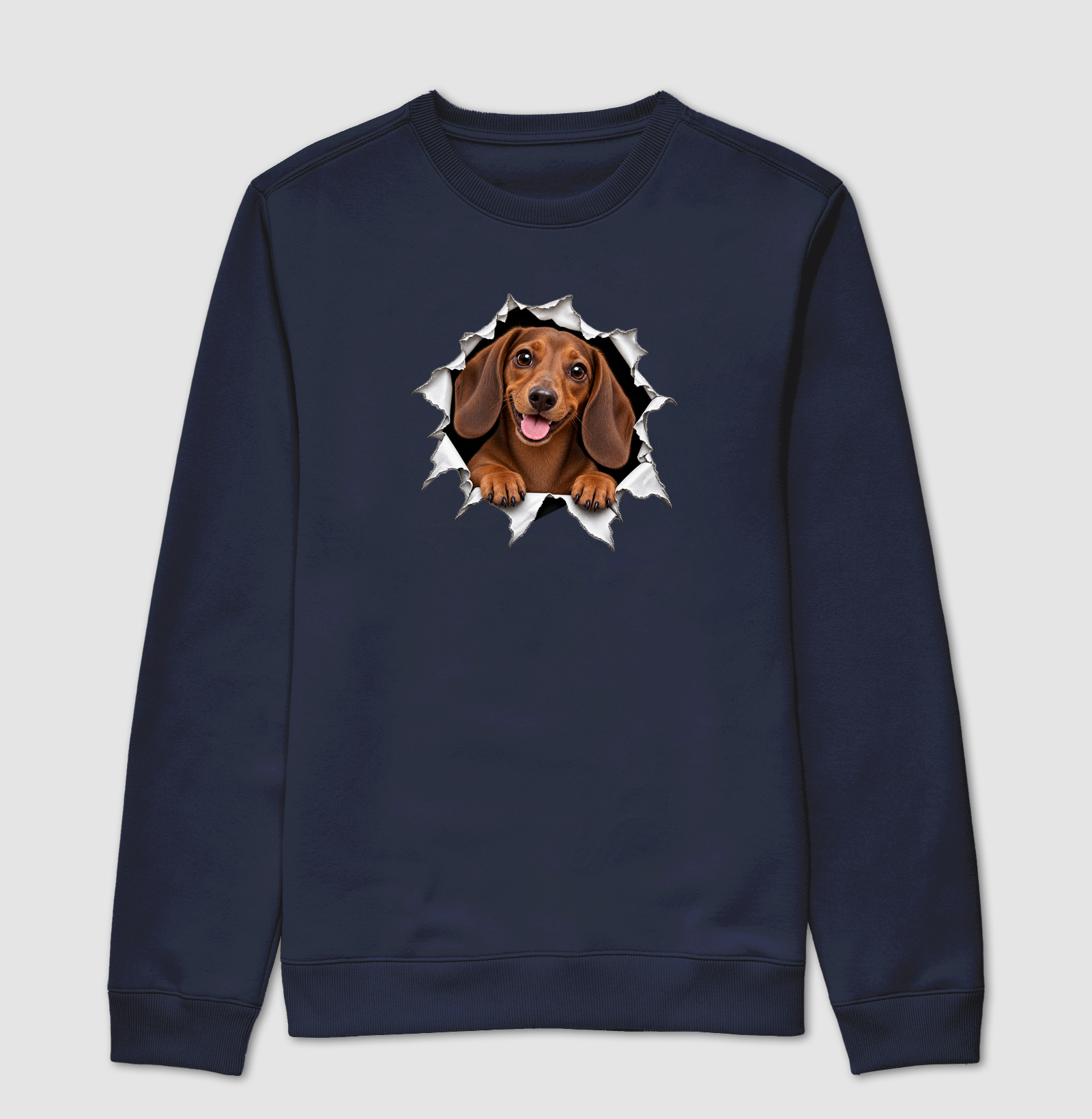Dachshund Saindo Pelo Rasgo - Imagem 5