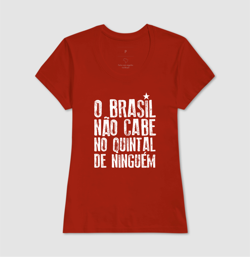 O Brasil não cabe no quintal de ninguém - Imagem 9
