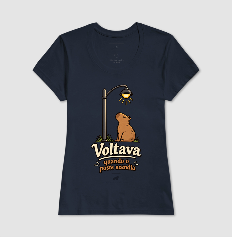 VOLTAVA QUANDO O POSTE ACENDIA - Imagem 9