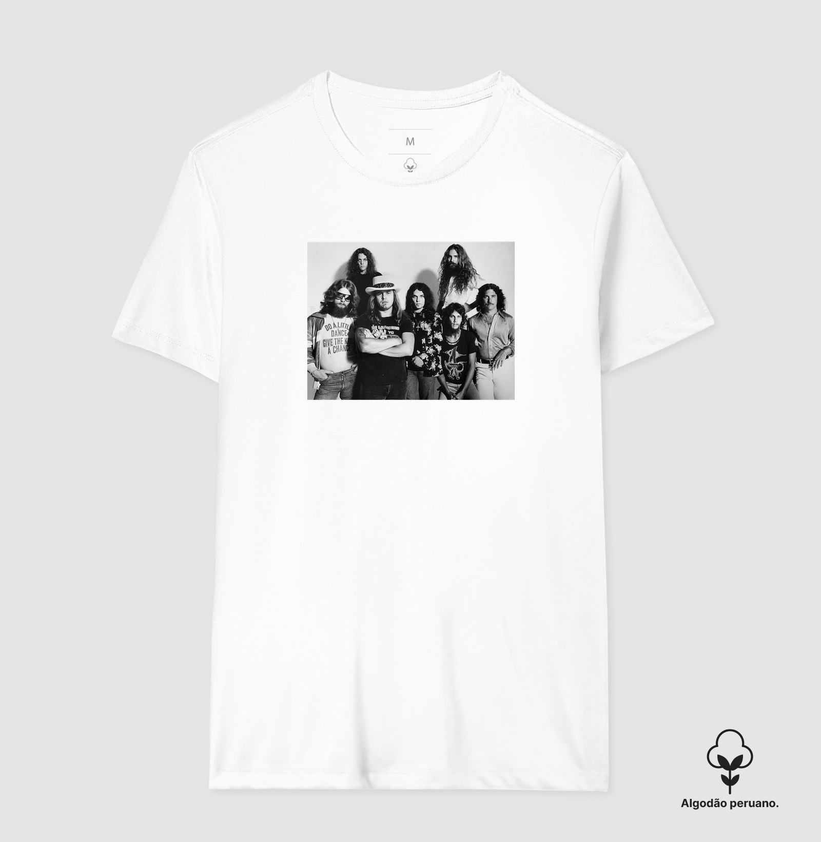 Lynyrd Skynyrd - 1977 - Imagem 7