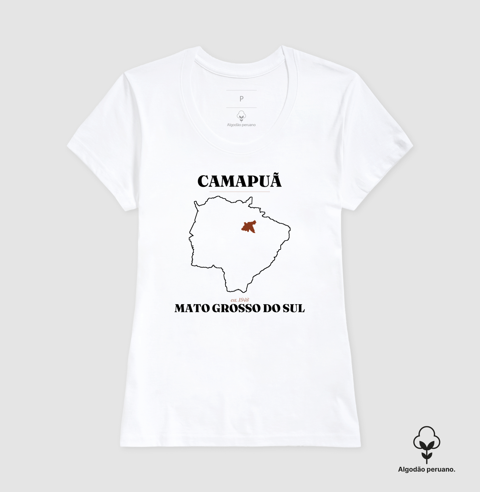 Camapuã | Legado MS - Imagem 7