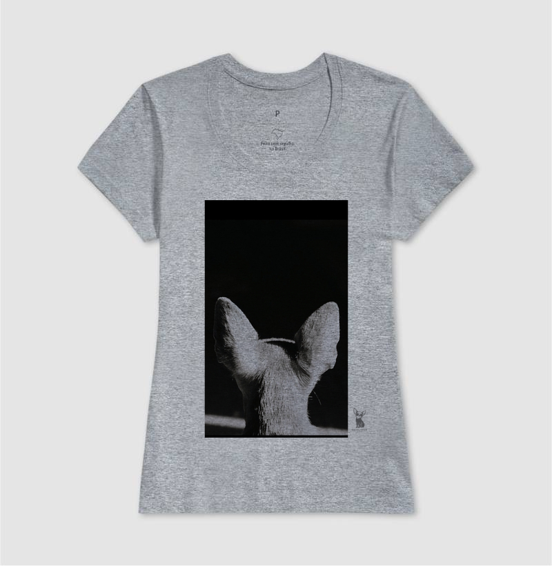 Chihuahua  - Imagem 5