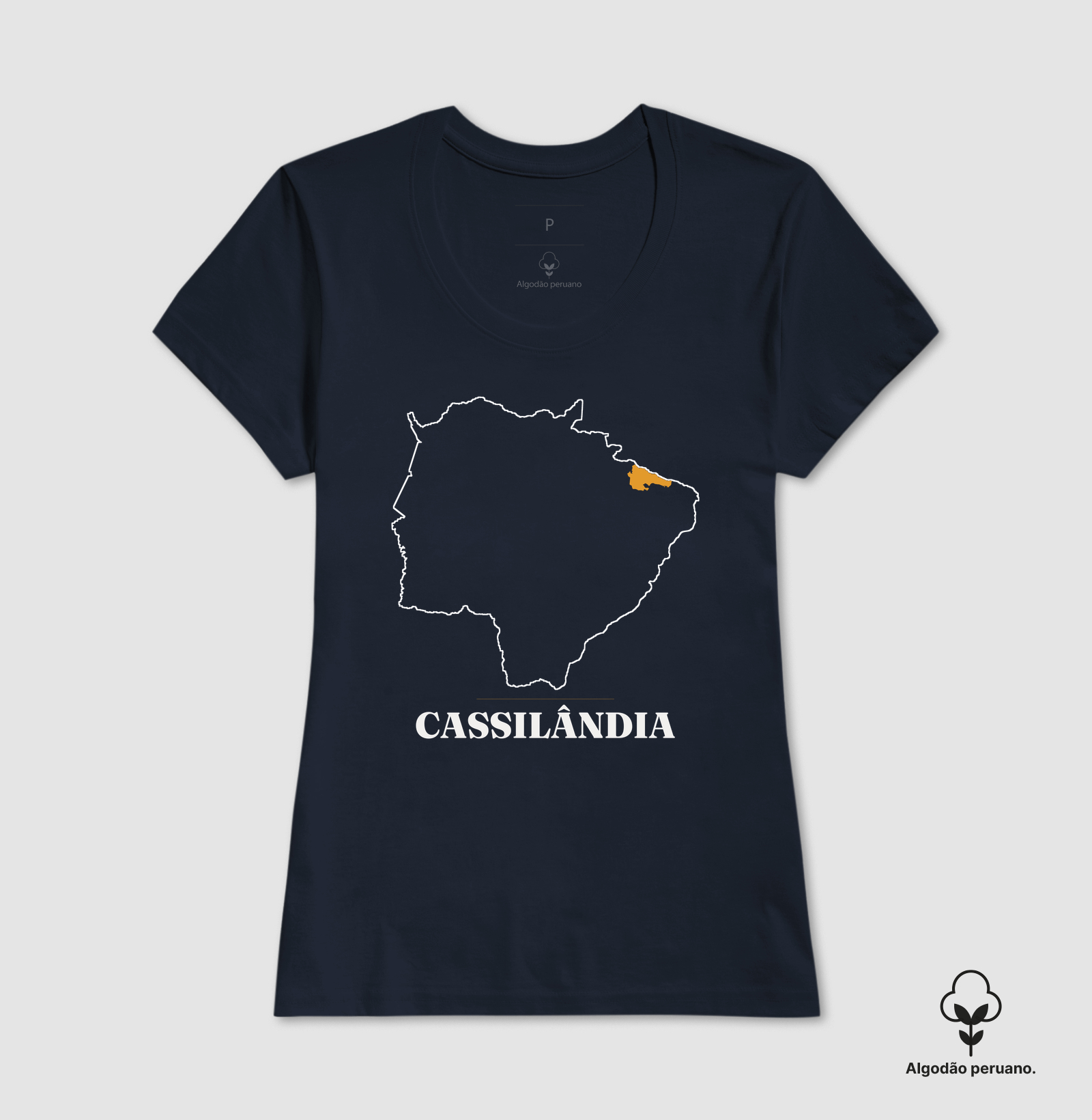 Cassilândia | Traço MS - Imagem 8