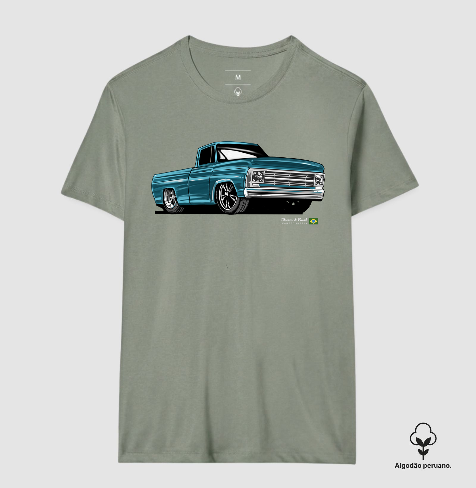 Camionete F 100 - Imagem 6