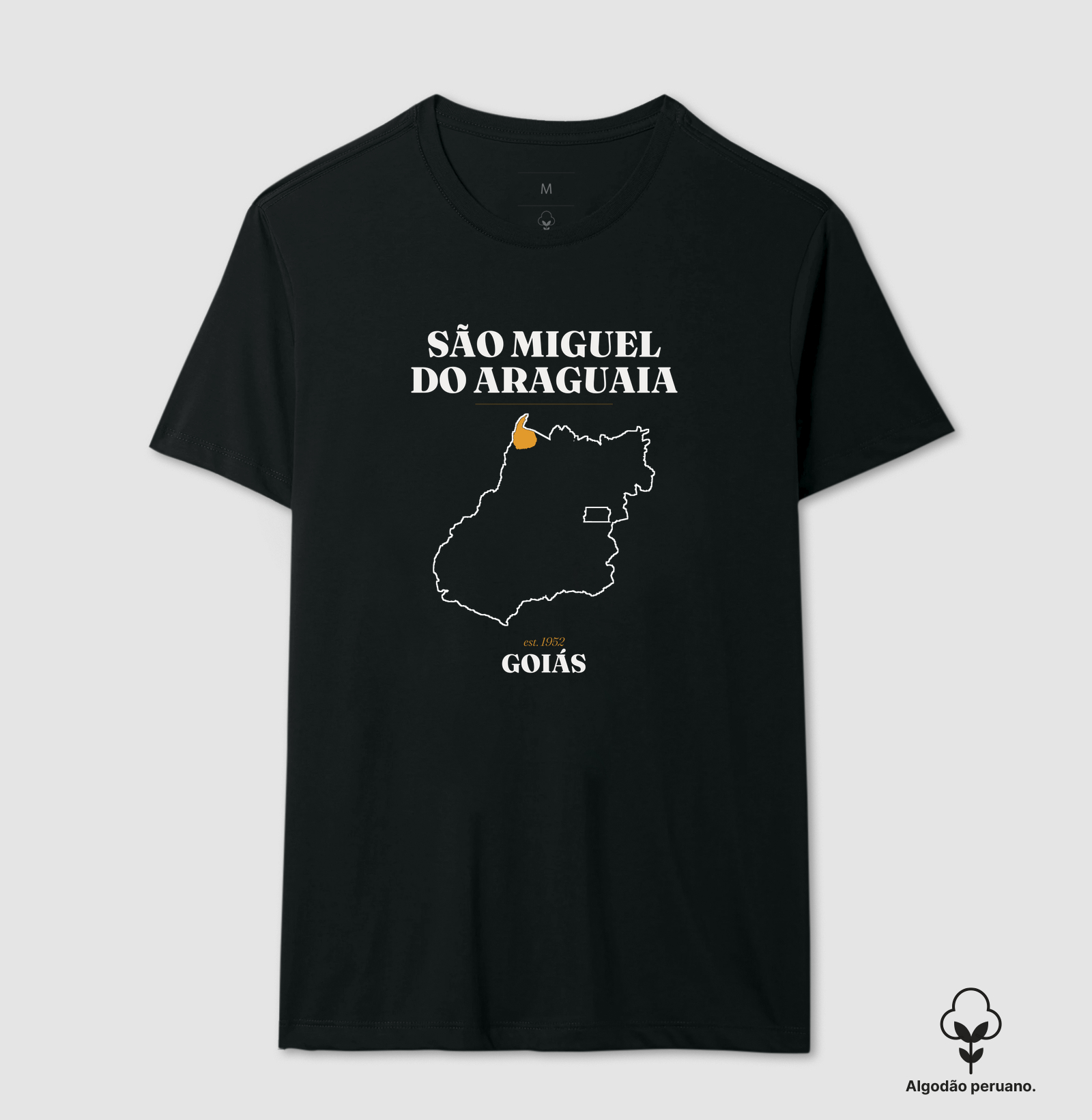 São Miguel do Araguaia | Legado GO - Imagem 5