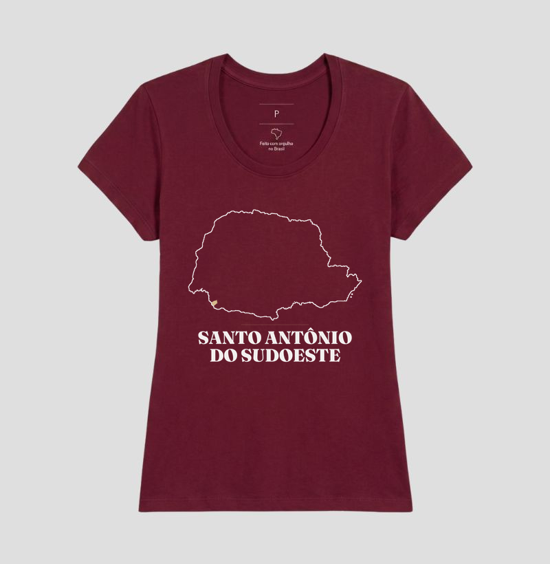 Santo Antônio do Sudoeste | Traço PR - Imagem 19