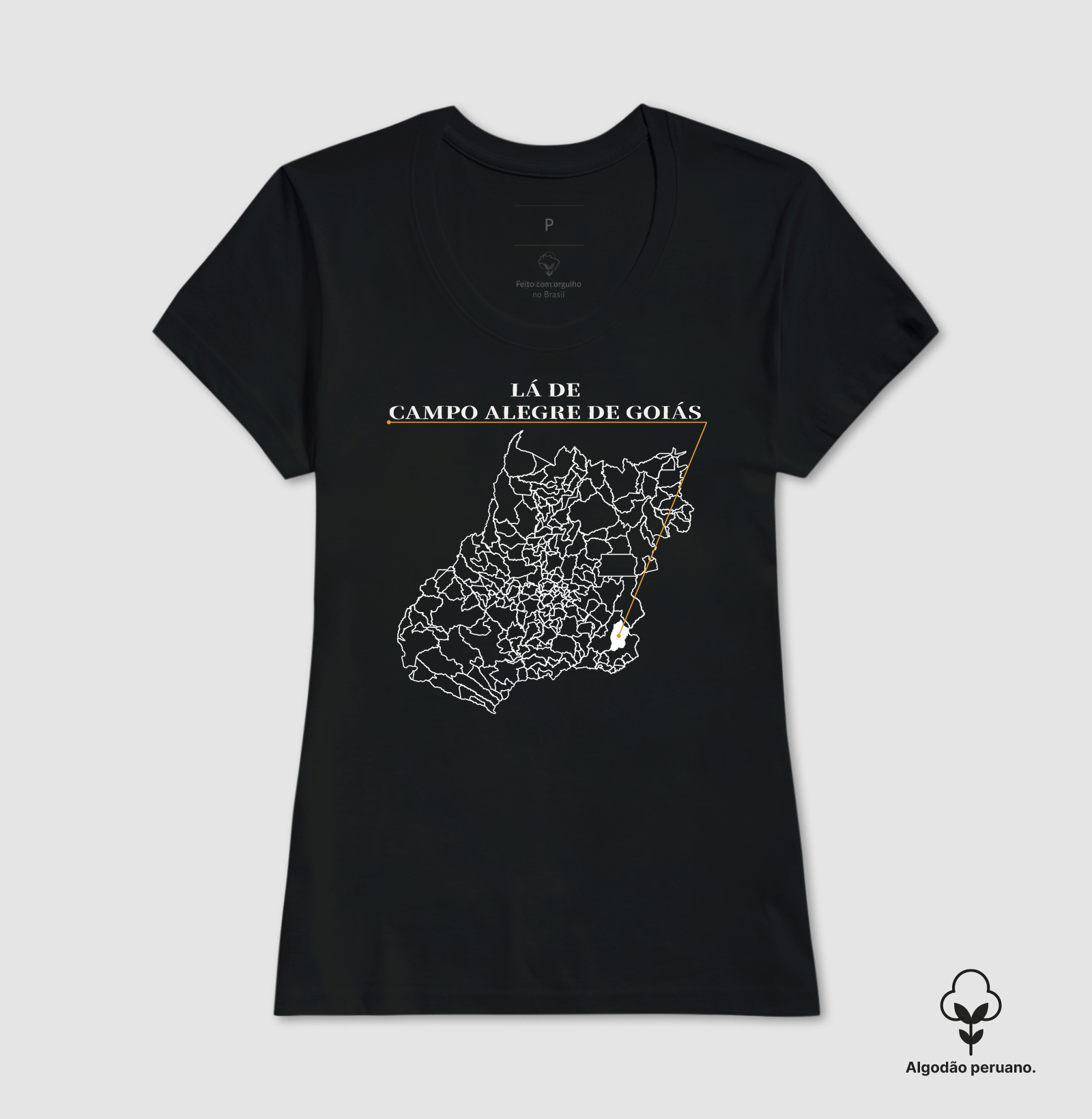 Campo Alegre de Goiás | Origem GO - Imagem 5