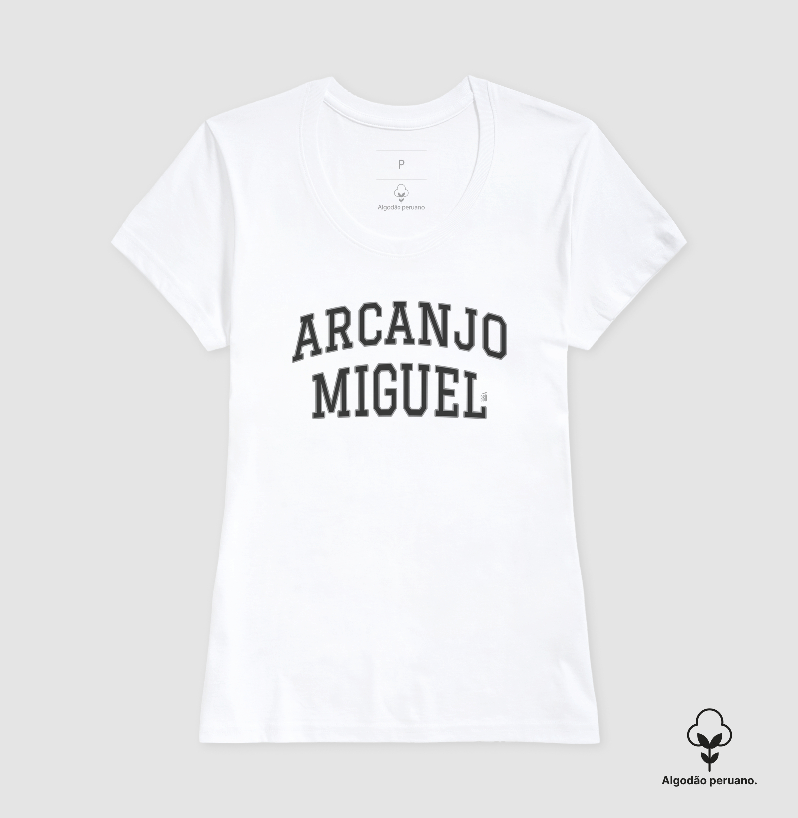 Arcanjo Miguel - Imagem 6