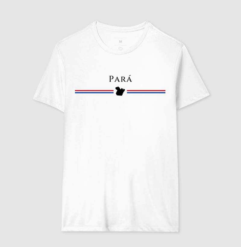 Pará | Tradição - Imagem 4