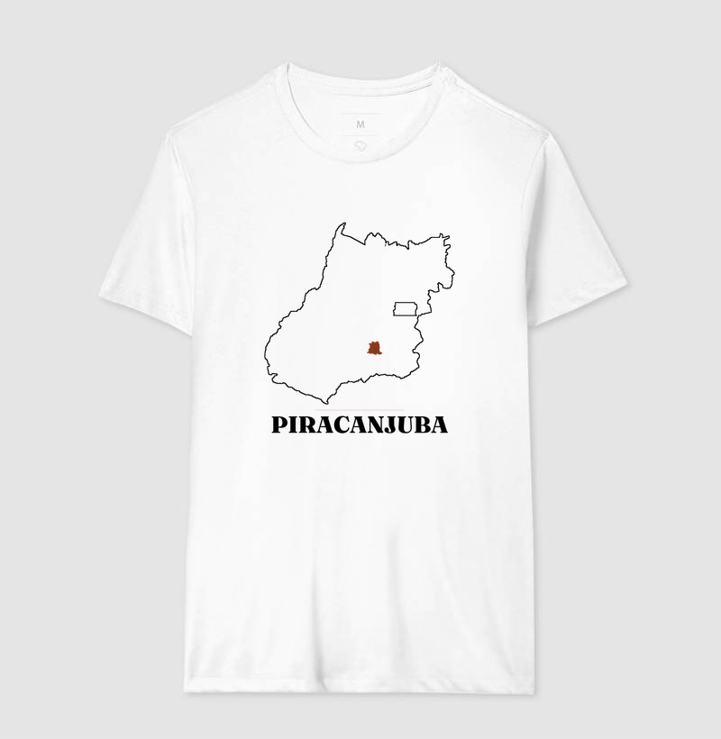 Piracanjuba | Traço GO - Imagem 4