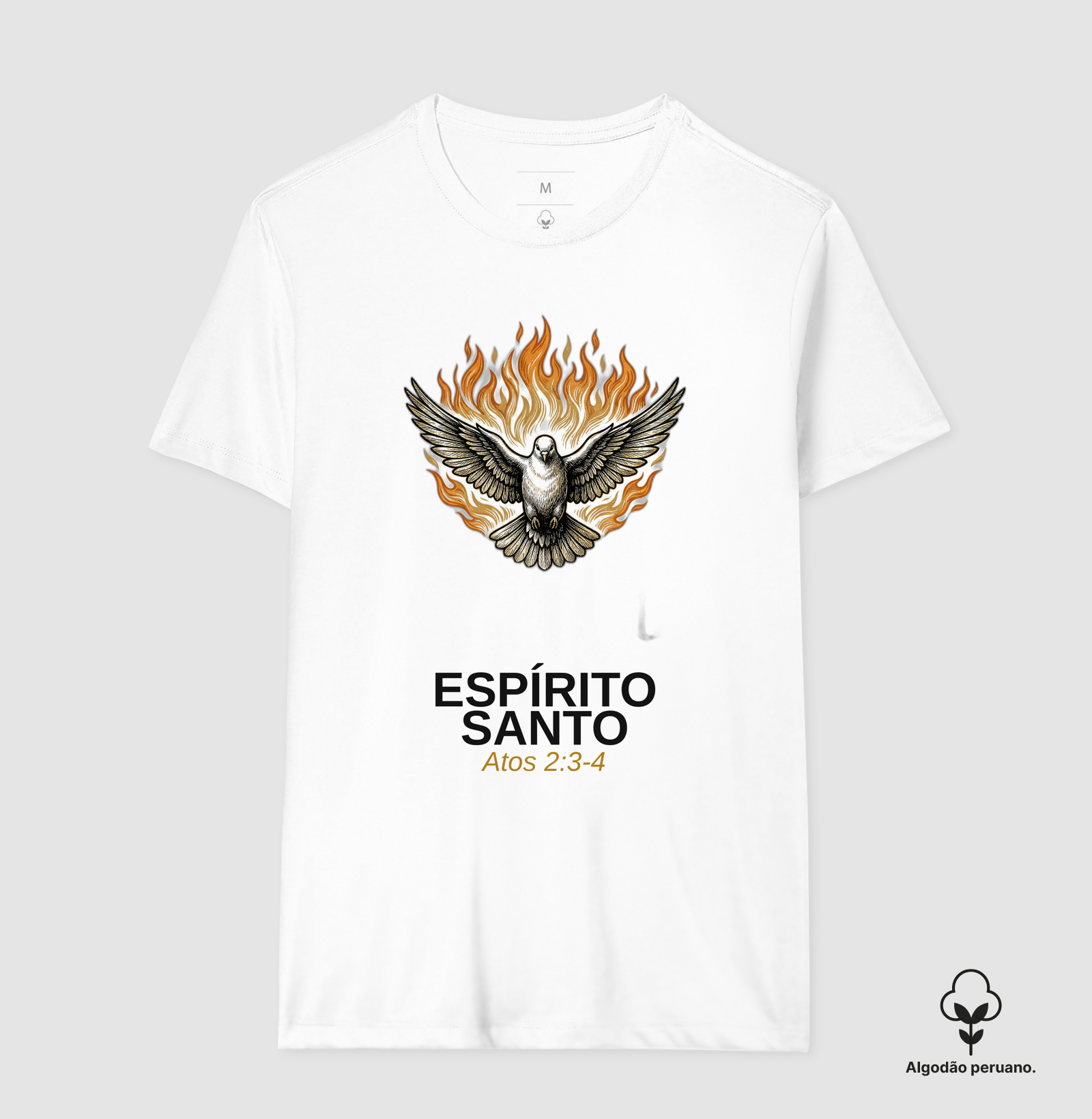  Espirito Santo - Imagem 7