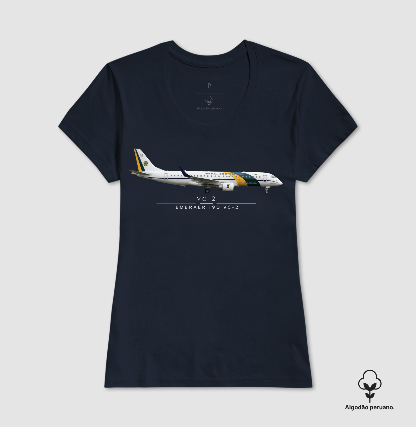 Embraer 190 VC-2 | Republica Federativa do Brasil - Imagem 7