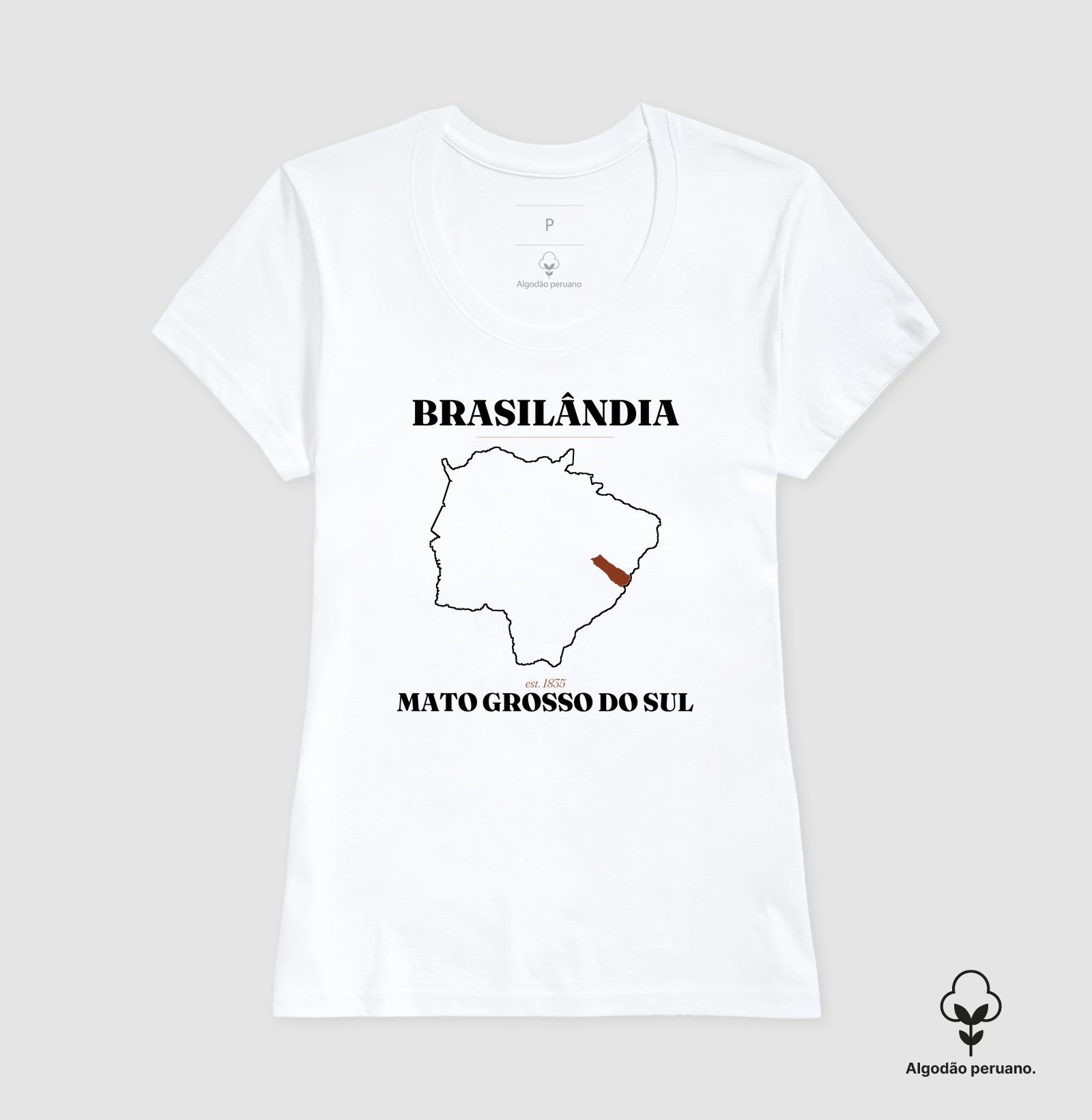 Brasilândia | Legado MS - Imagem 7