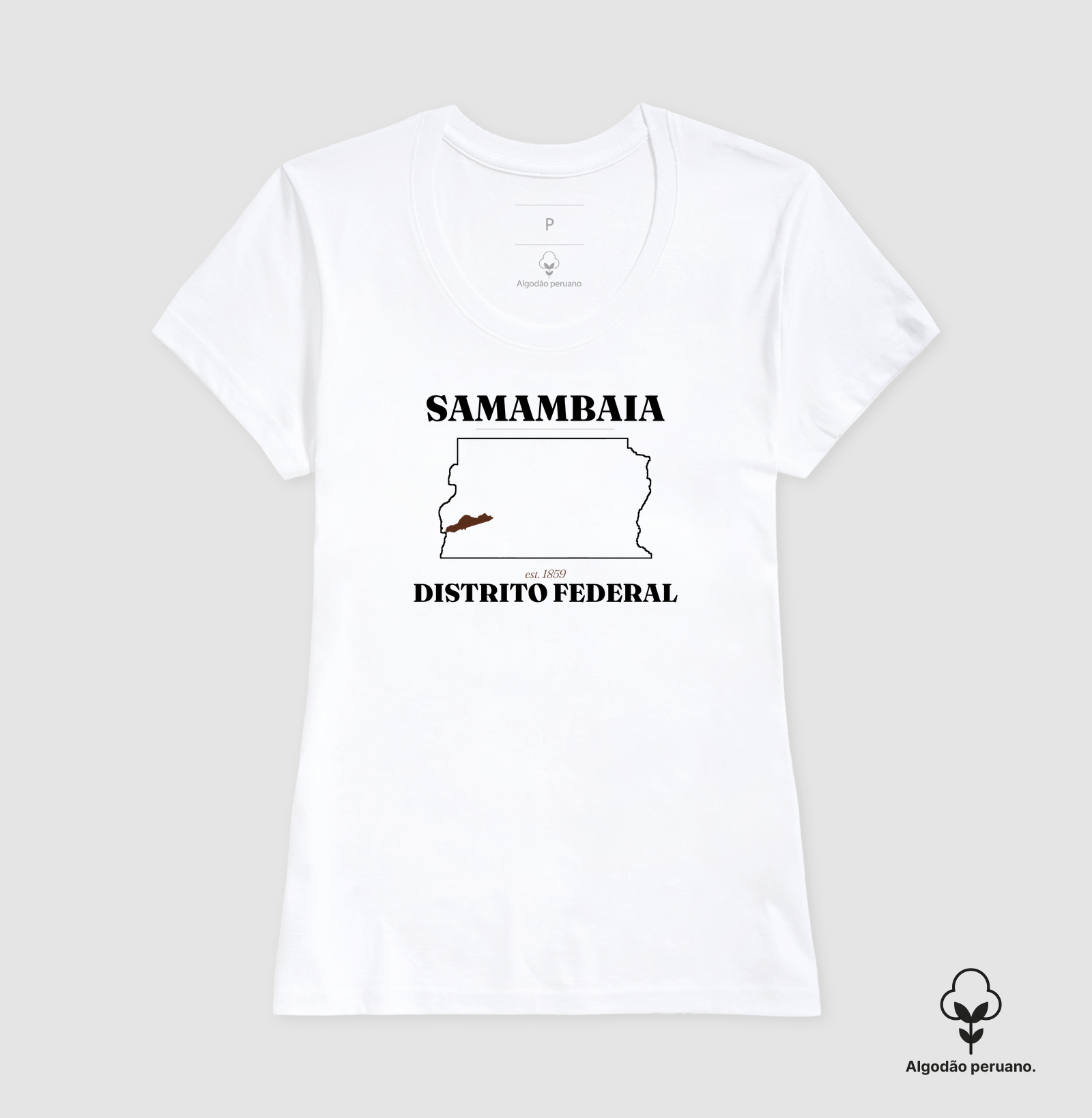 Samambaia | Legado DF - Imagem 4
